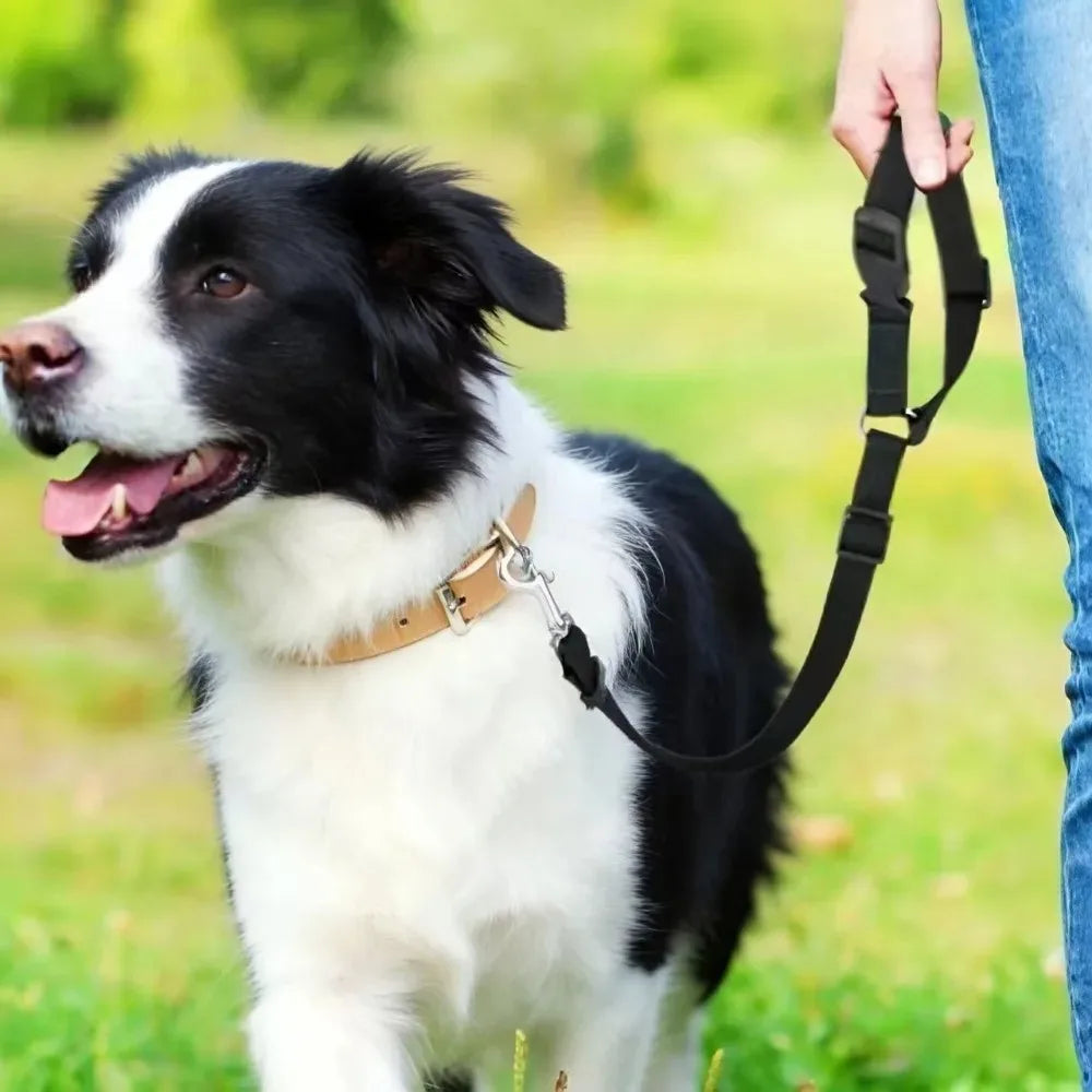 Cinto Ajustável para Cães – Passeios de Carro — imagem 3