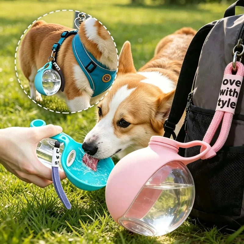 Garrafa portátil para água em passeios com cães e gatos