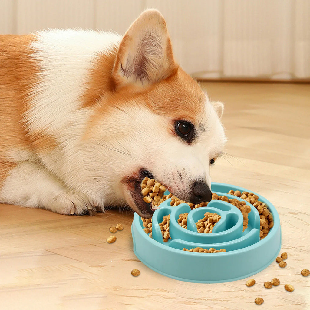 Comedouro Lento para Cães — imagem 5