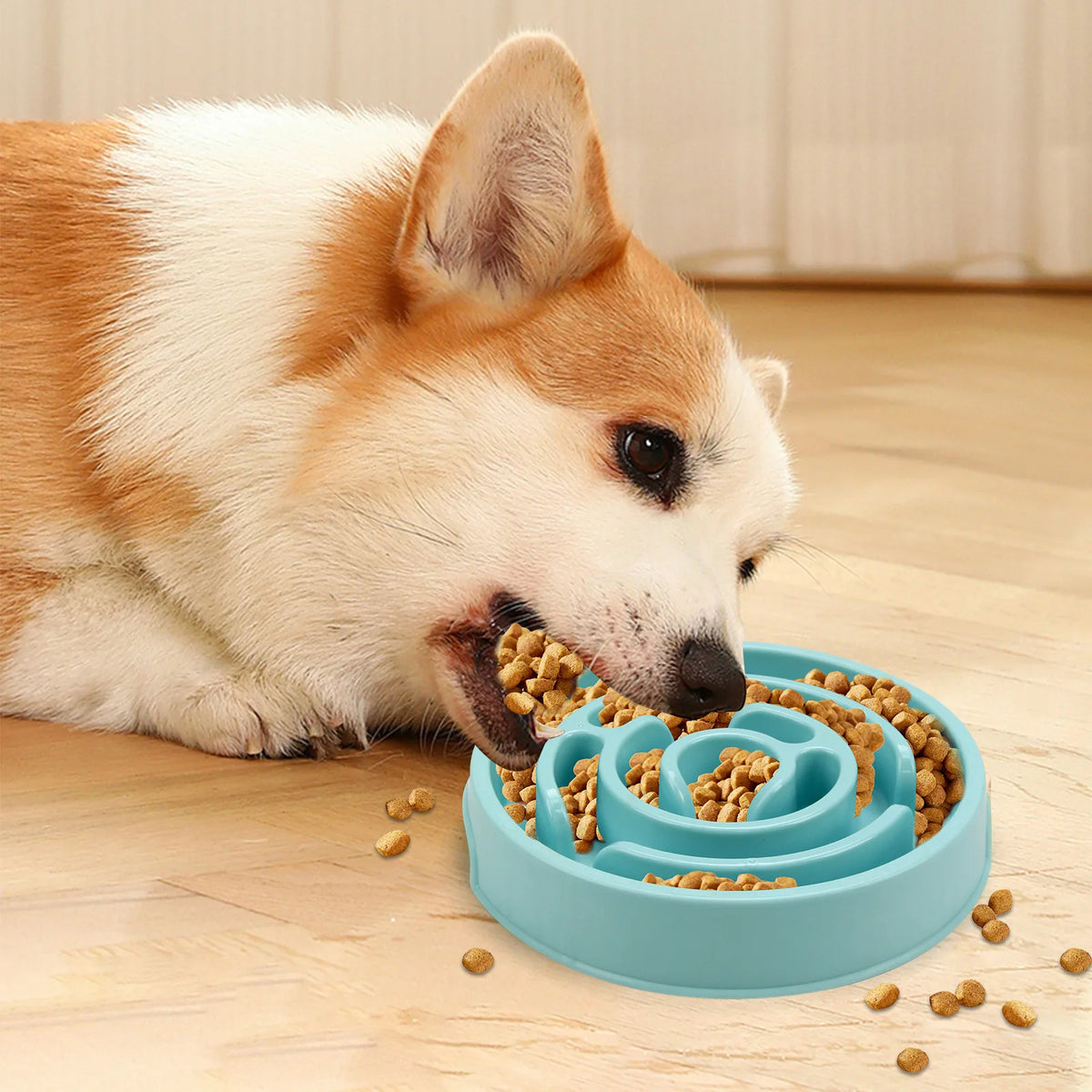 Comedouro Lento para Cães — imagem 5