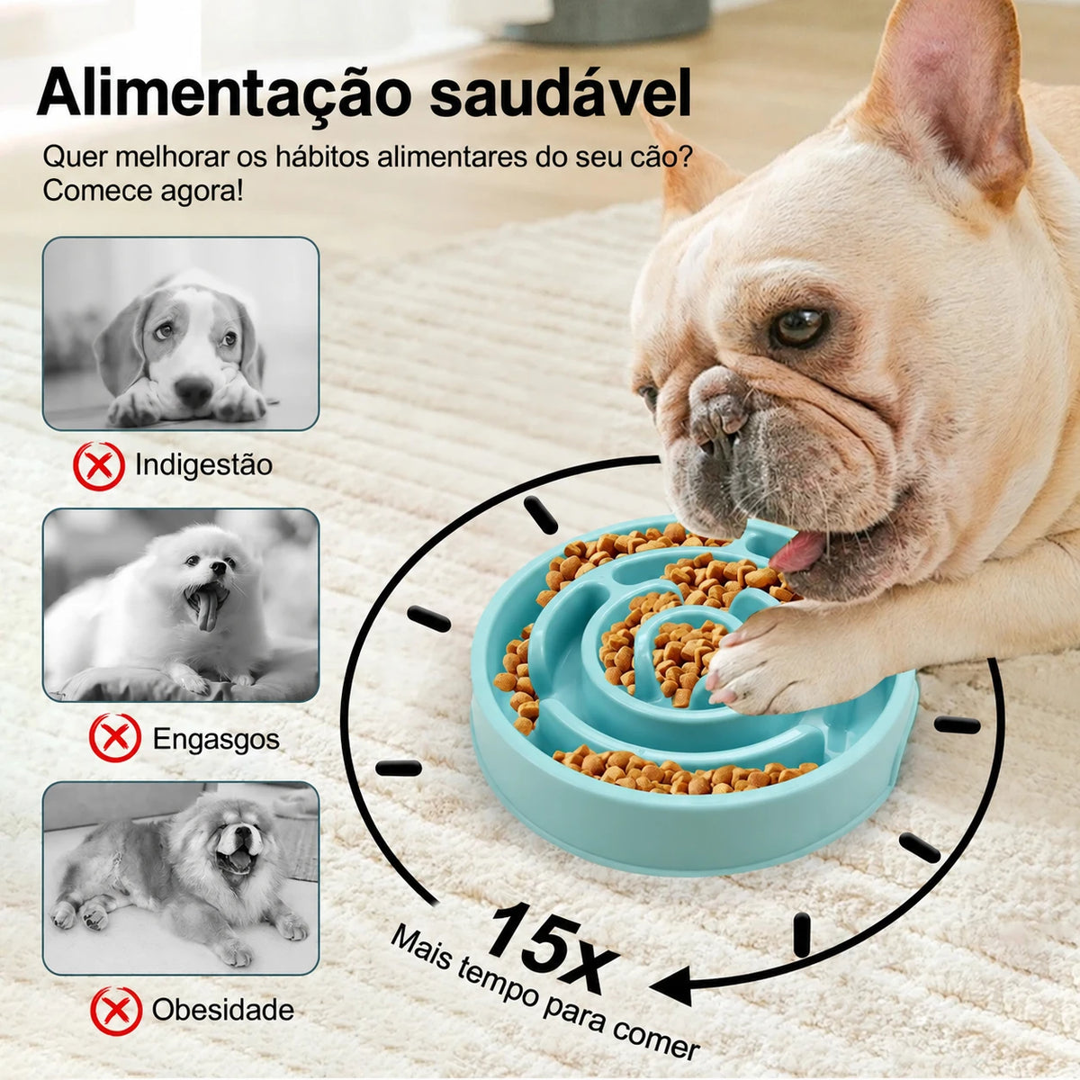Comedouro lento para cães
