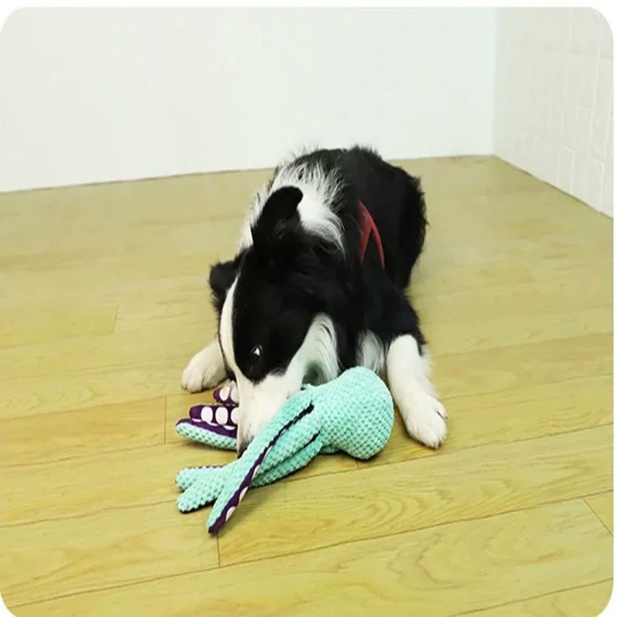 Brinquedo Octopus – Interativo para Cães — imagem 2