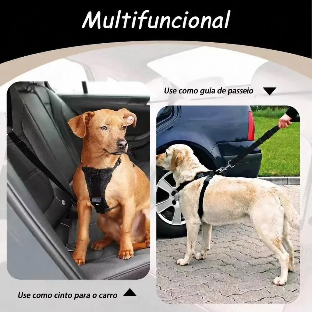 Cinto multifuncional: uso como guia de passeio e cinto para o carro